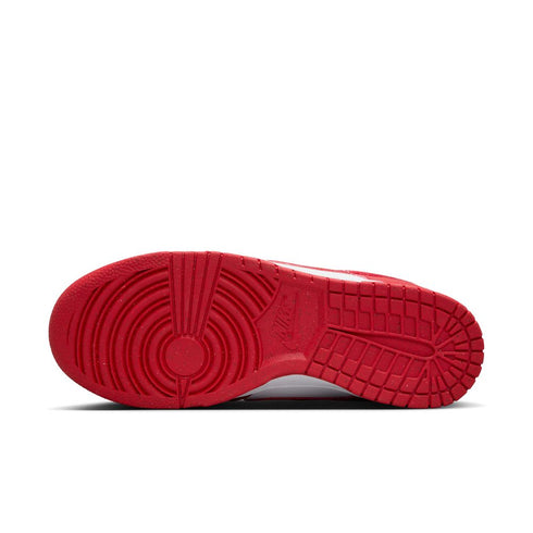 NIKE Dunk Low Next Nature Womens Sneakers